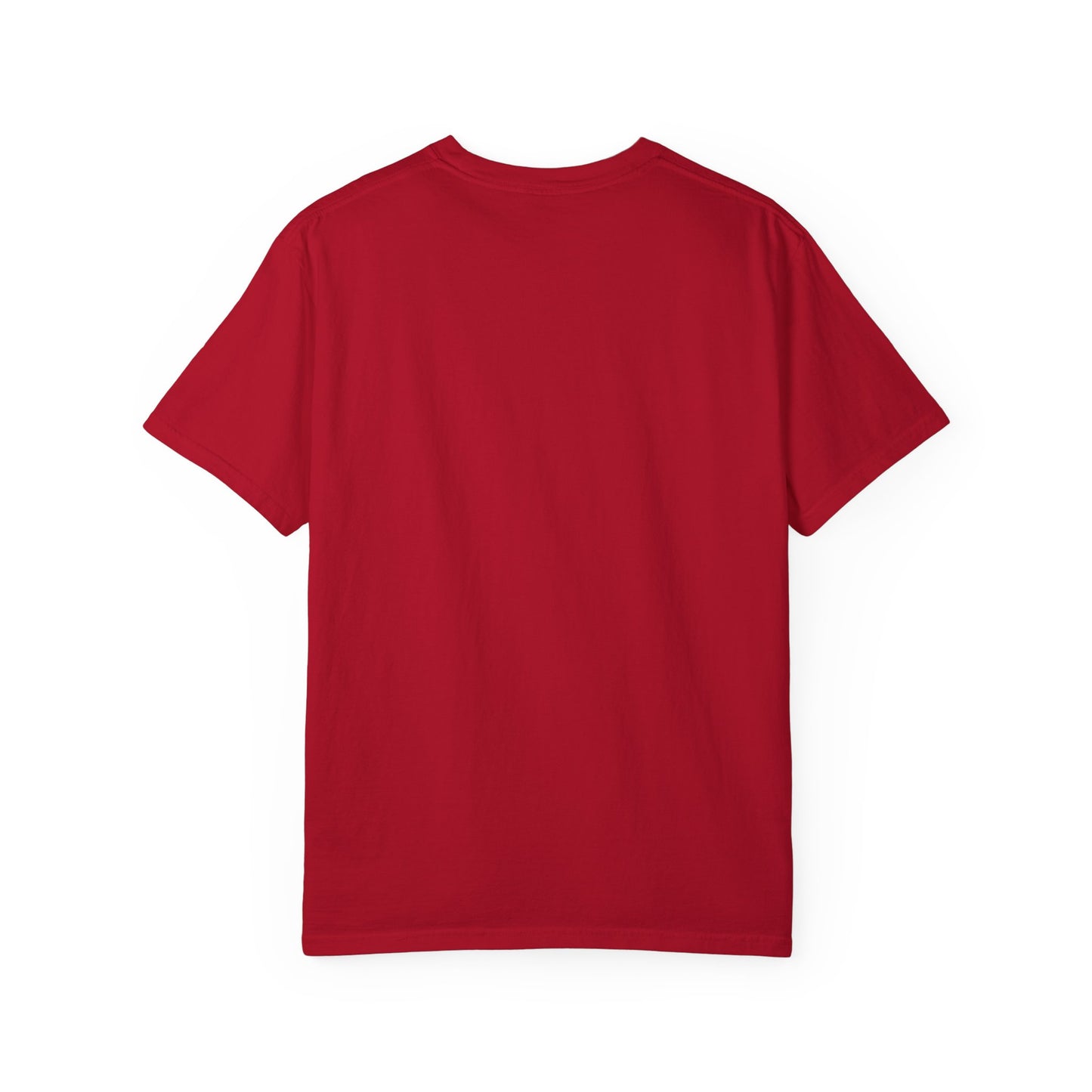 WTF RFK T-shirt - Unisex Garment-Dyed Tee